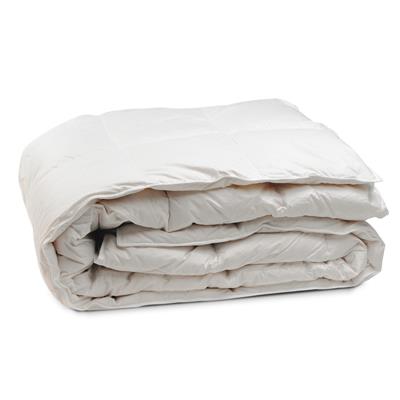 COUETTE HIVER SOFTYNE 30% DUVET